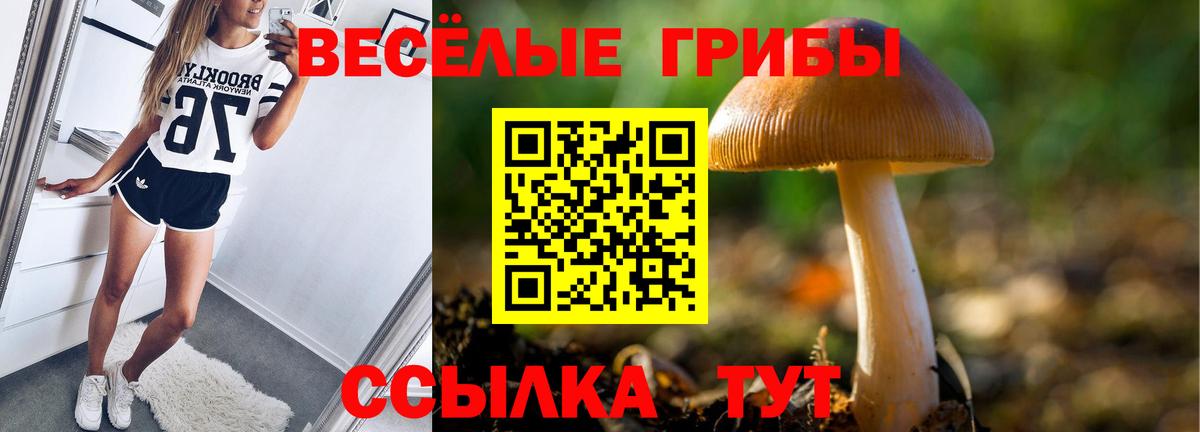 Галлюциногенные грибы Psilocybine cubensis  Вход с VPN  как найти закладки  Северск 